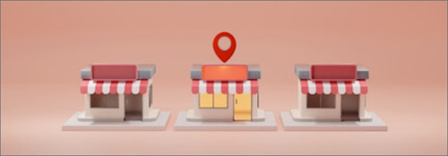 Advanced Inventory Management System - Store User Manual