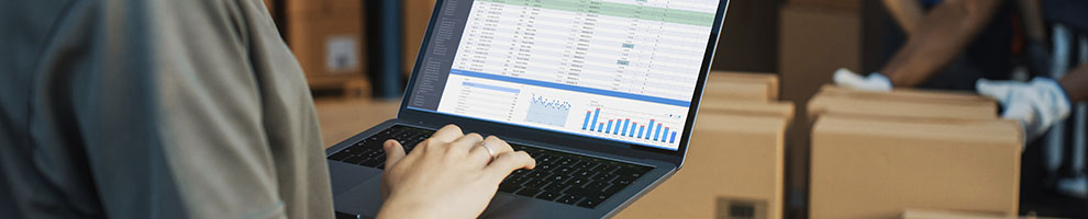 CONTINUOUS INVENTORY AUDITING