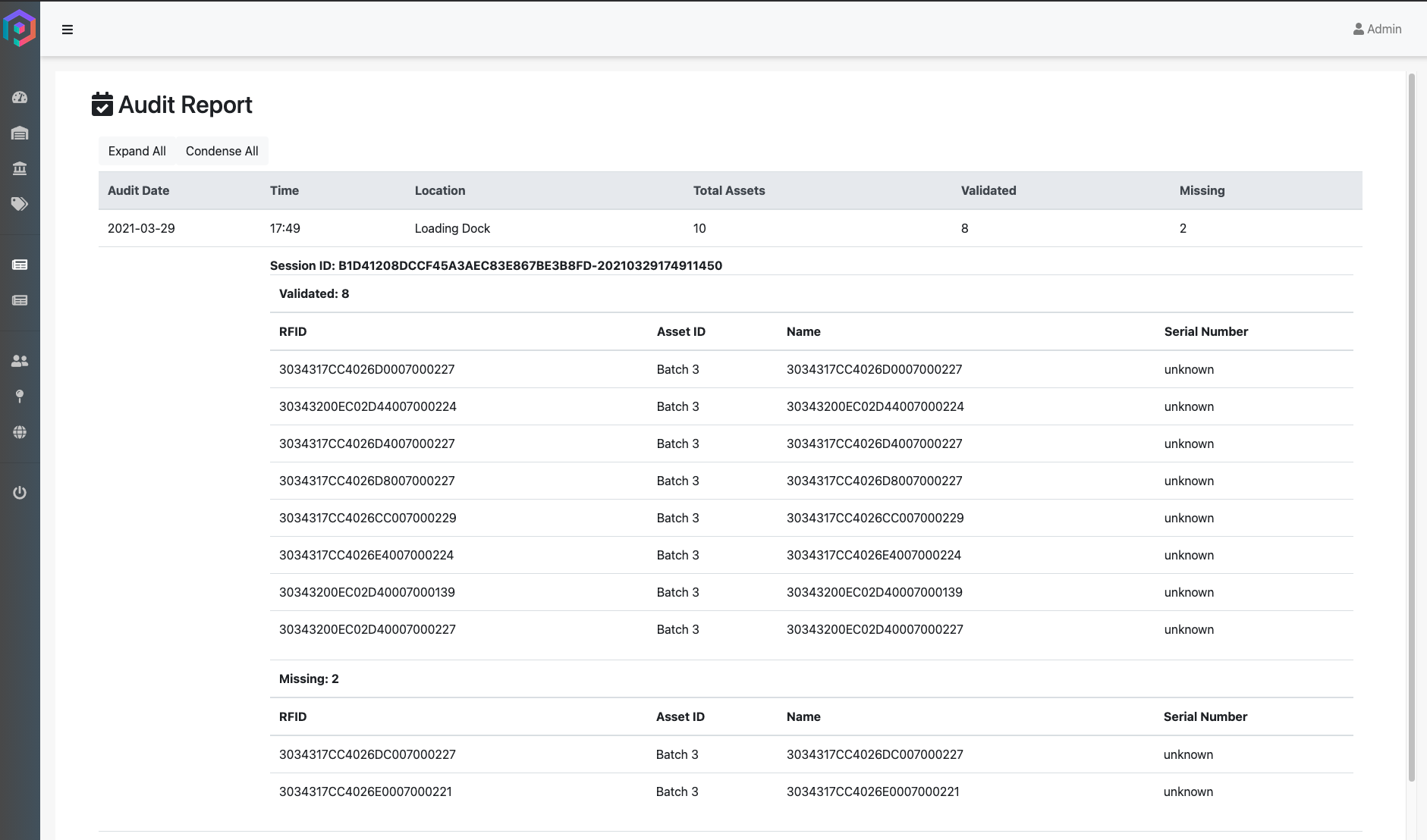Sample Audit Report Page